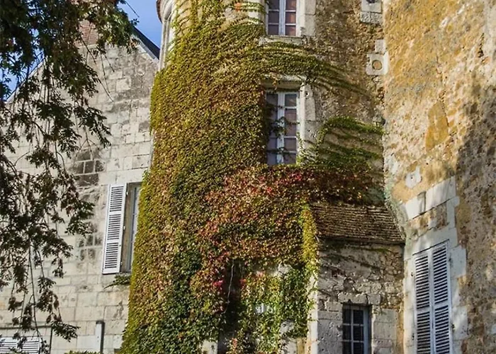 Les Reflets Du Tournesol * Mortagne-au-Perche
